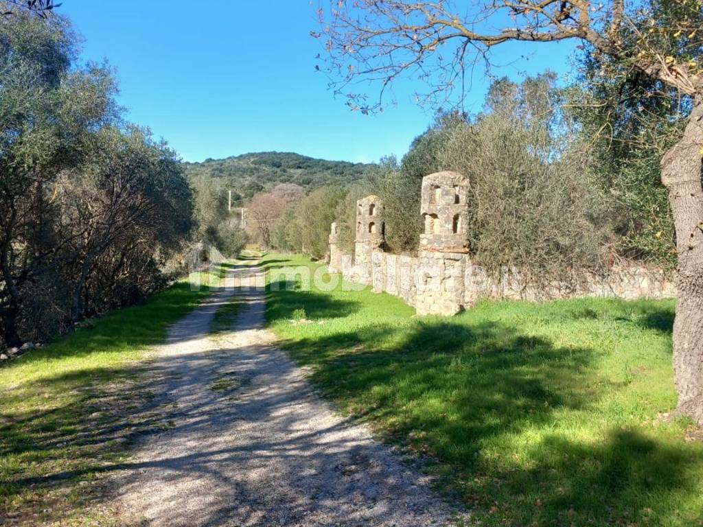 strada ingresso proprietà