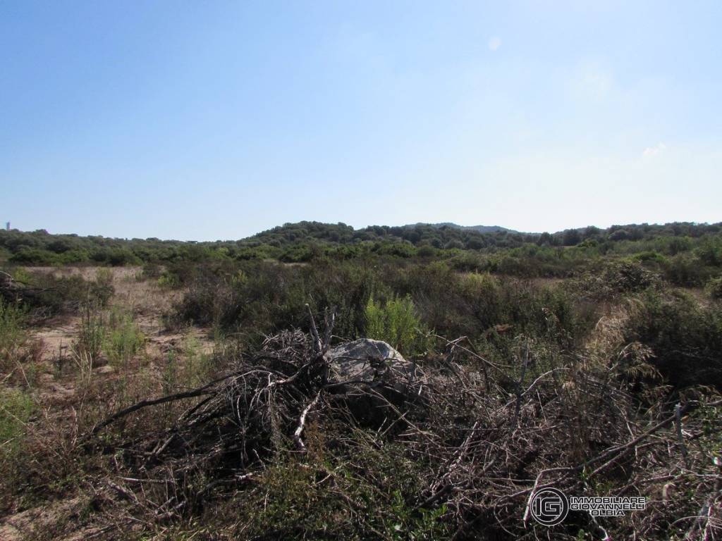 Terreno agricolo di 1 ettaro in vendita - 2