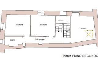 Piantina 1