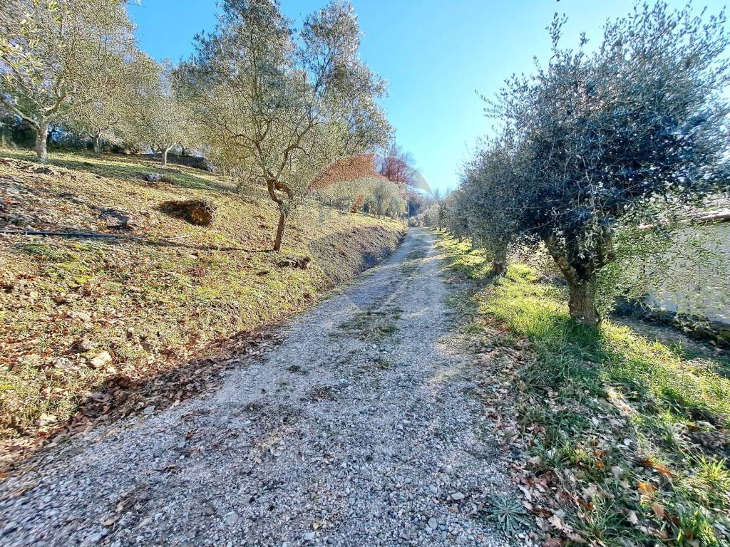 STRADA DI PROPRIETA'