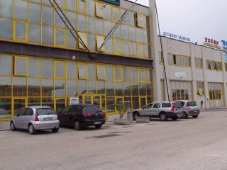 Zona