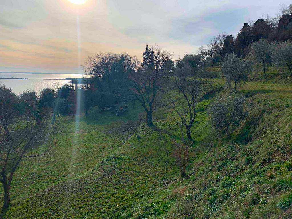 Terreno e vista