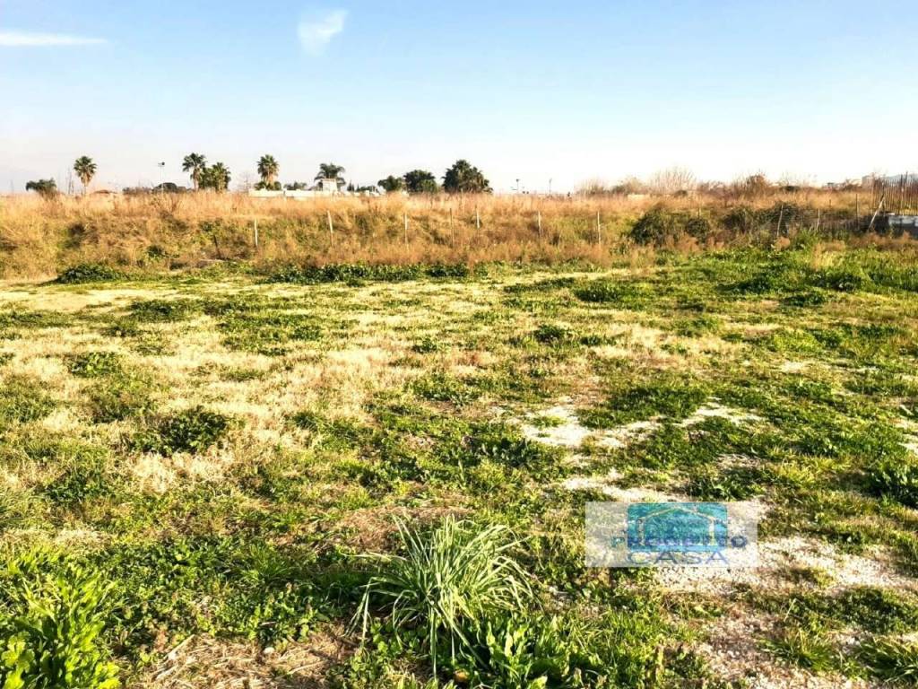 Terreno agricolo masseria paradiso snc, somma vesuviana