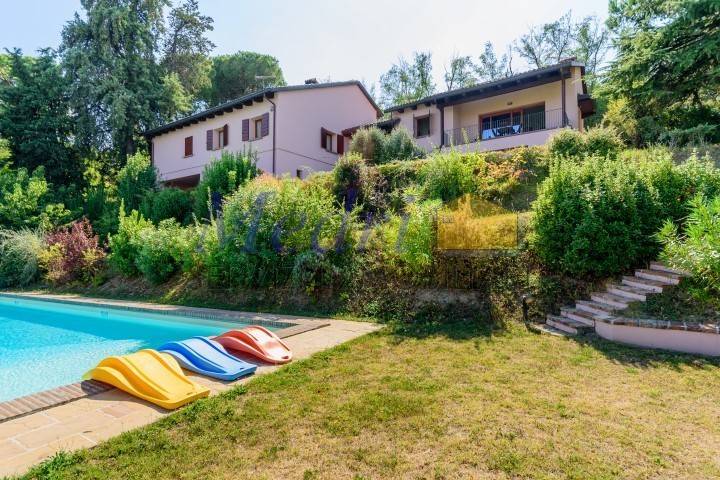 AAA_7783 (Small).jpg