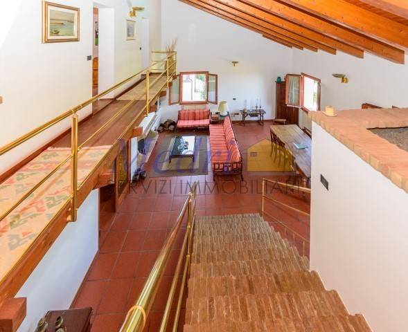 AAA_7656 (Small).jpg