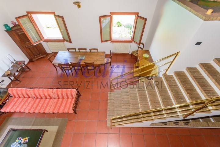 AAA_7659 (Small).jpg