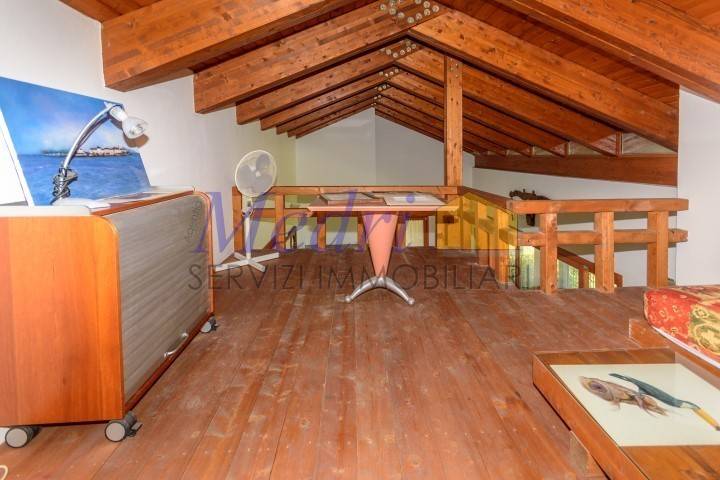 AAA_7755 (Small).jpg