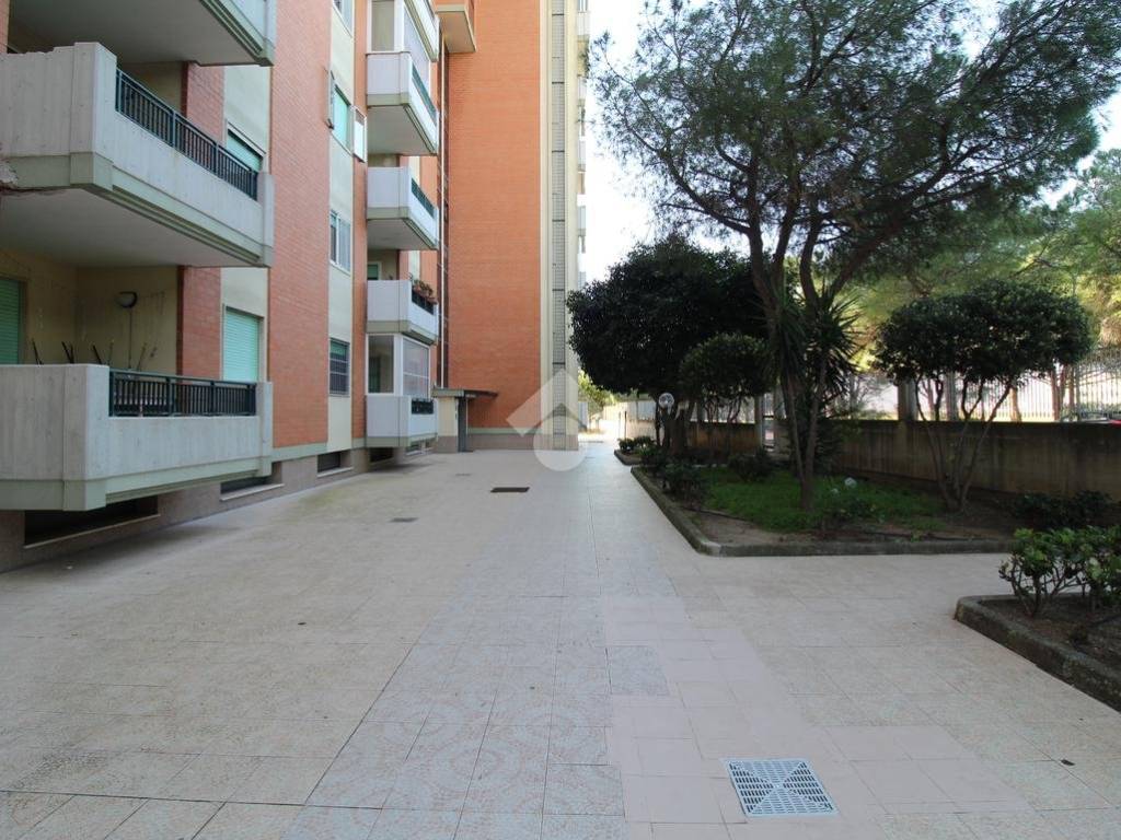 Condominio