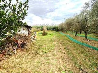 castelnuovo magra