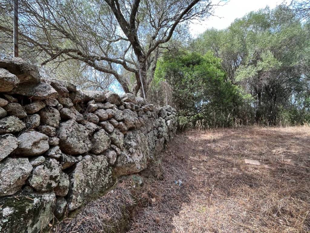 Terreno agricolo sp115, arzachena paese, arzachena