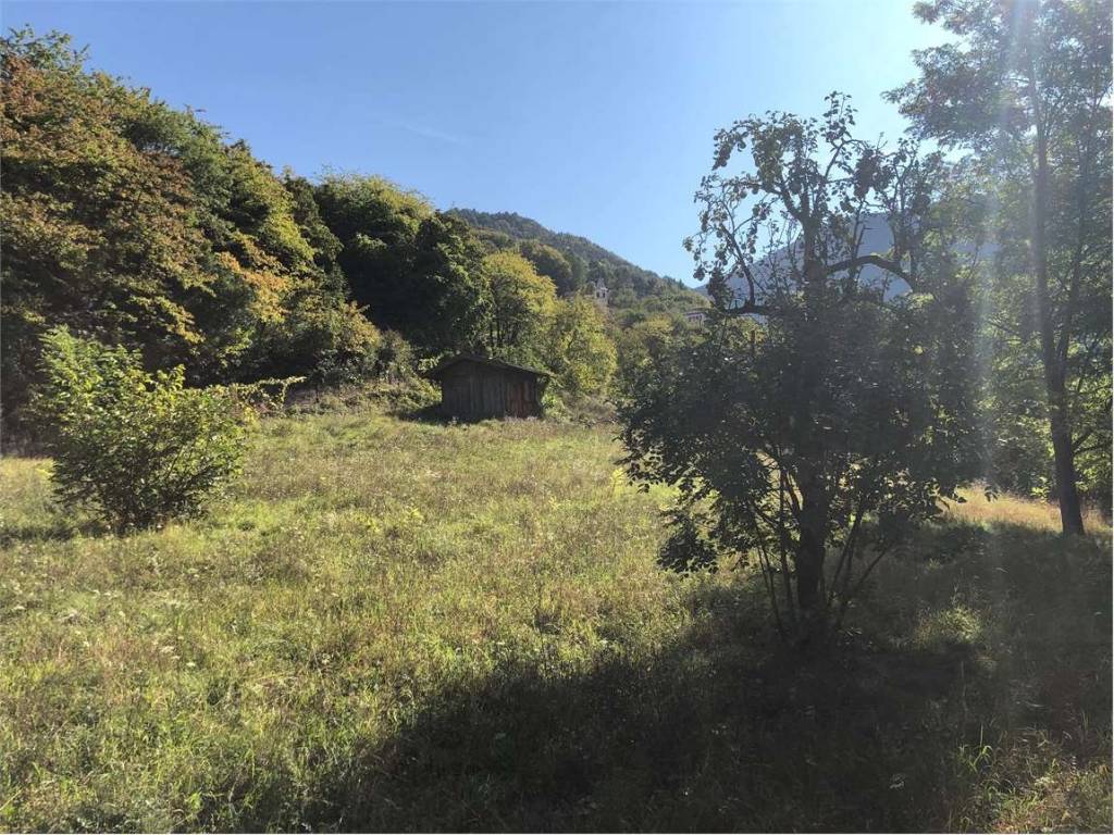 Terreno edificabile mezzomonte, 37, folgaria