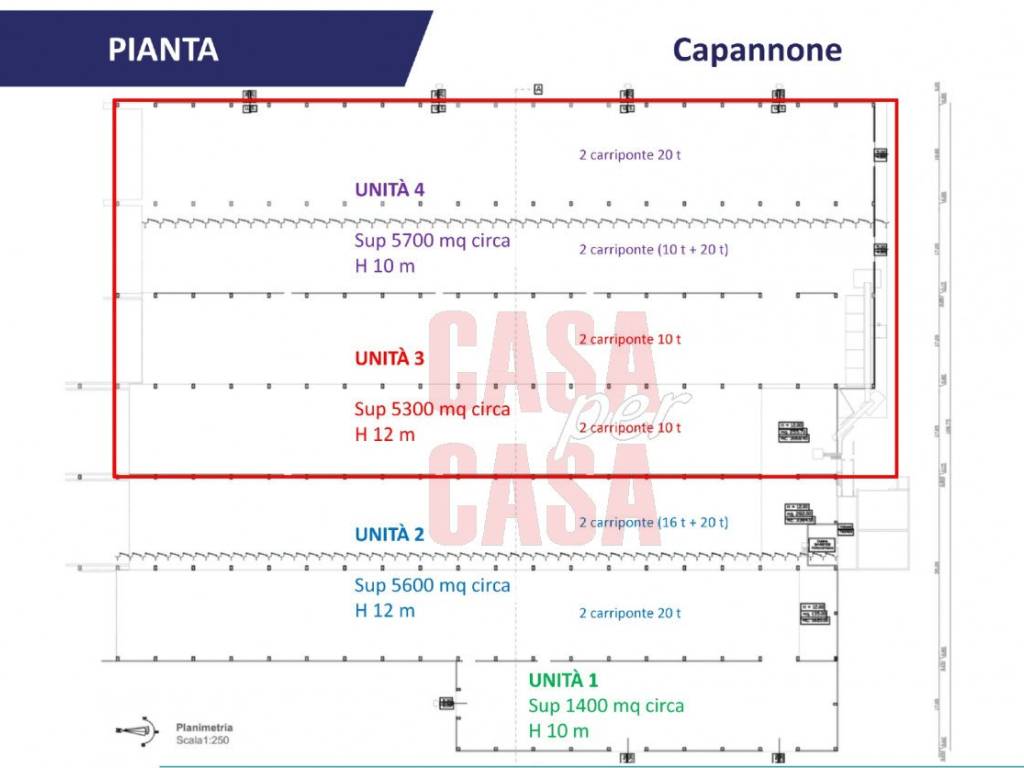 pianta selezionata page 0001