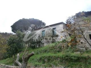Foto - Vendita casa, giardino, Sant'Angelo di Brolo, Costa Saracena