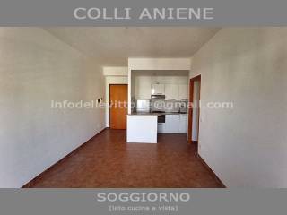 Case in affitto in zona Colli Aniene, Roma - Immobiliare.it