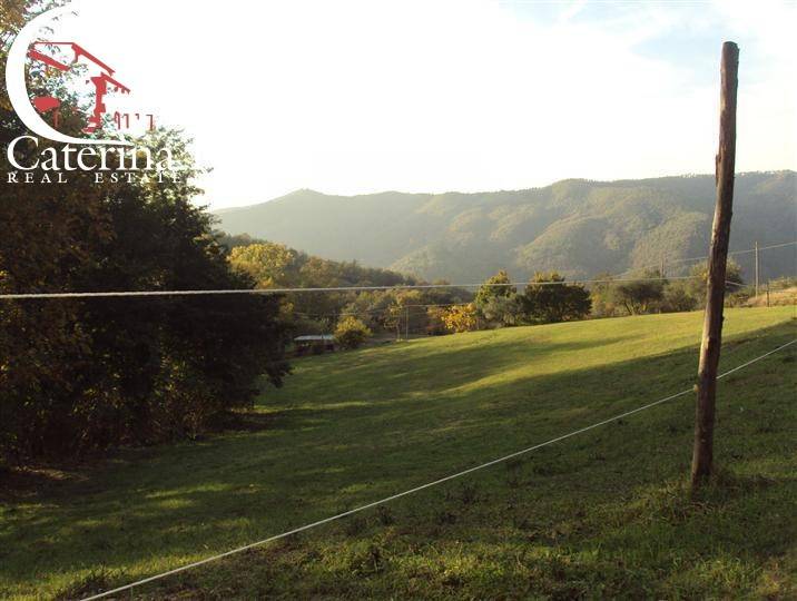 Dicomano Carbonile vendesi colonica con terreno