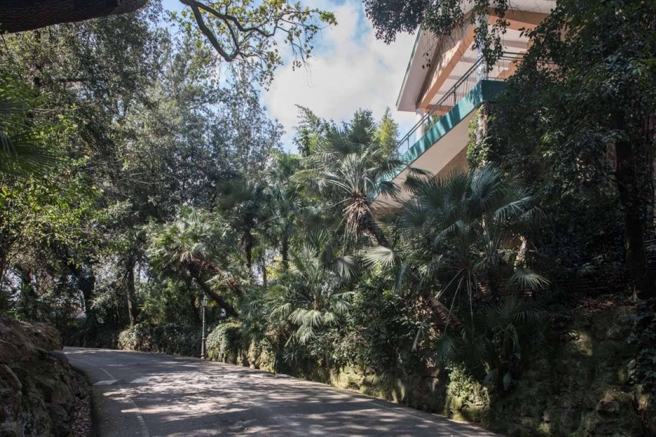 Villa in affitto a Roma