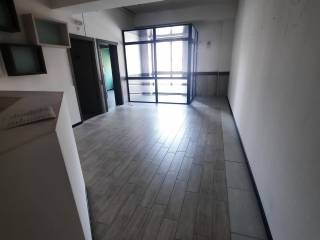 ingresso