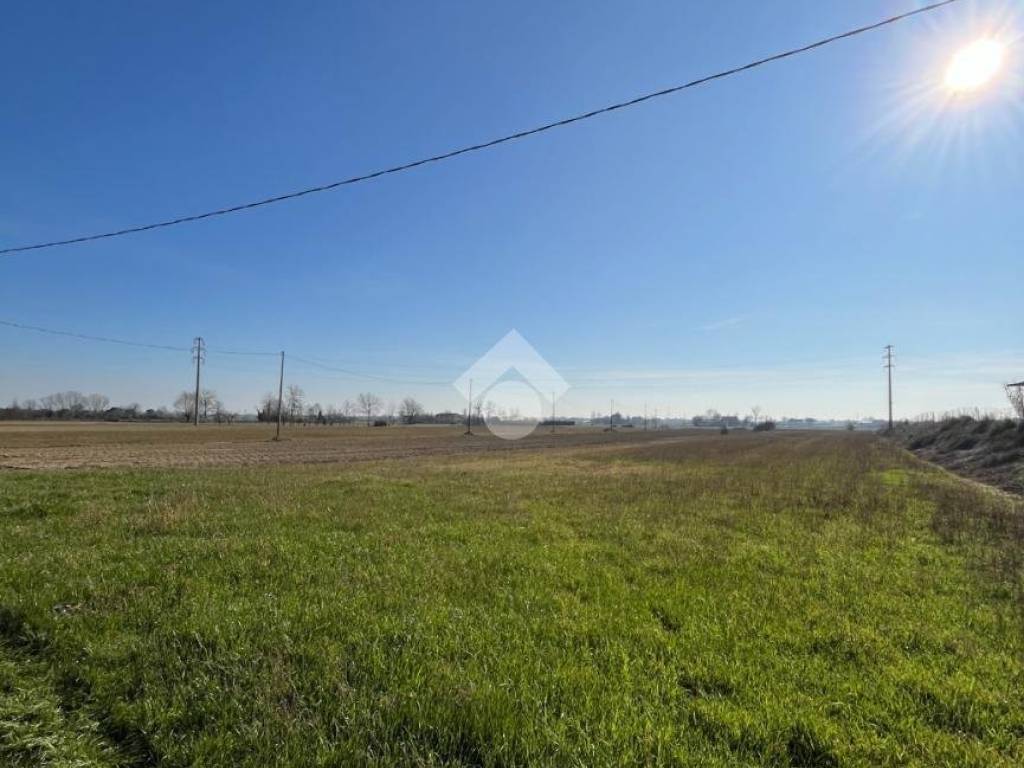 Terreno agricolo via cesenatico, borella, cesenatico