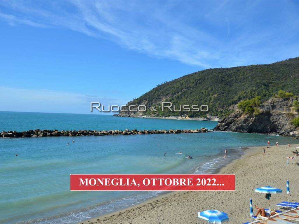 MONEGLIA