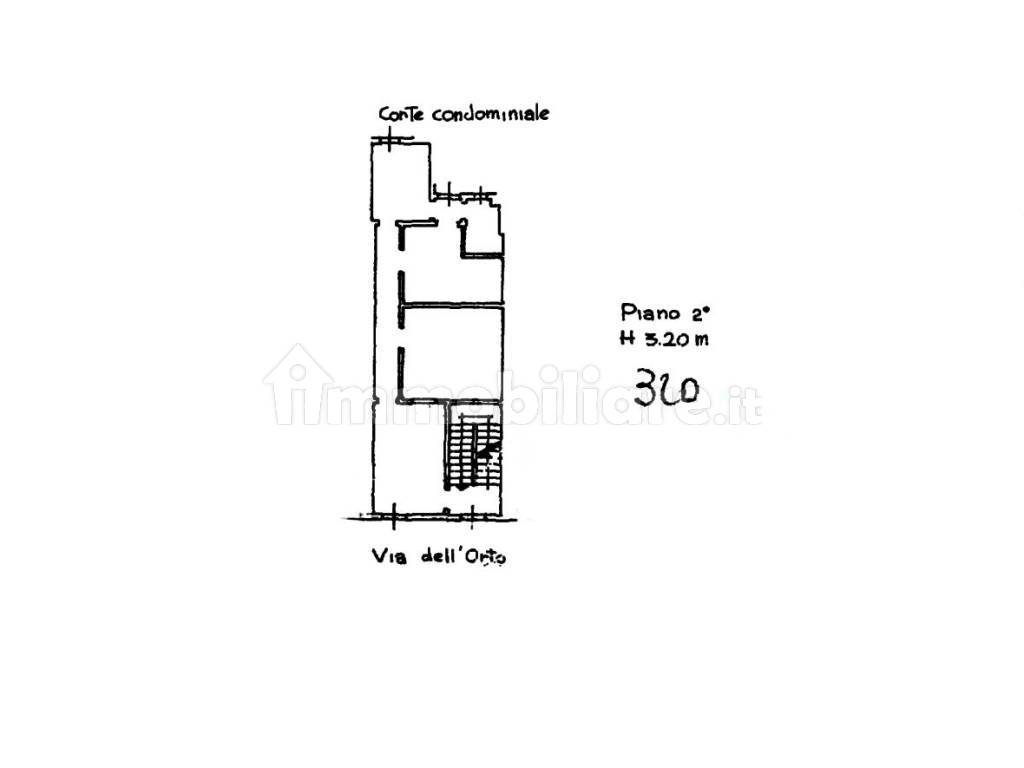 UV24-ORTO