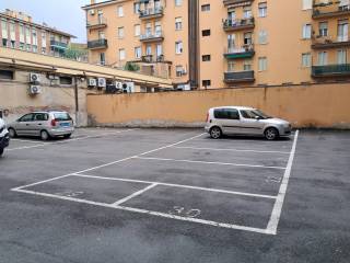 Zona