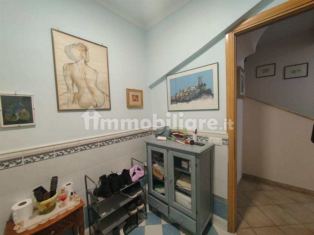 329COLONNA