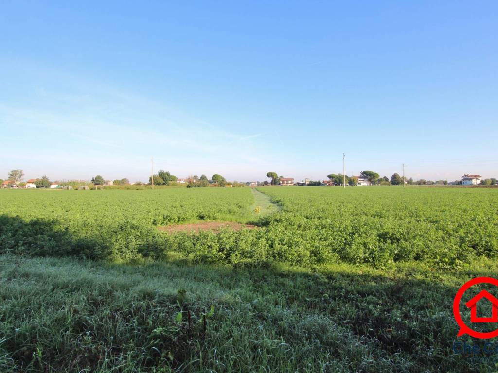 Terreno agricolo via mariana, gattolino - capannaguzzo, cesena