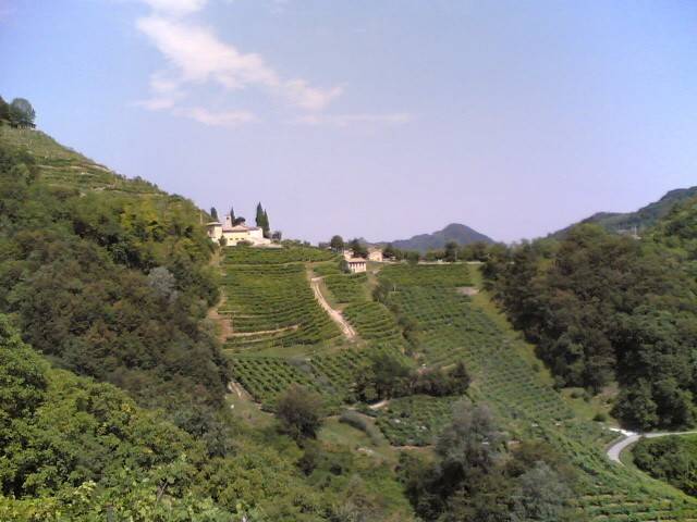 colline10.jpg