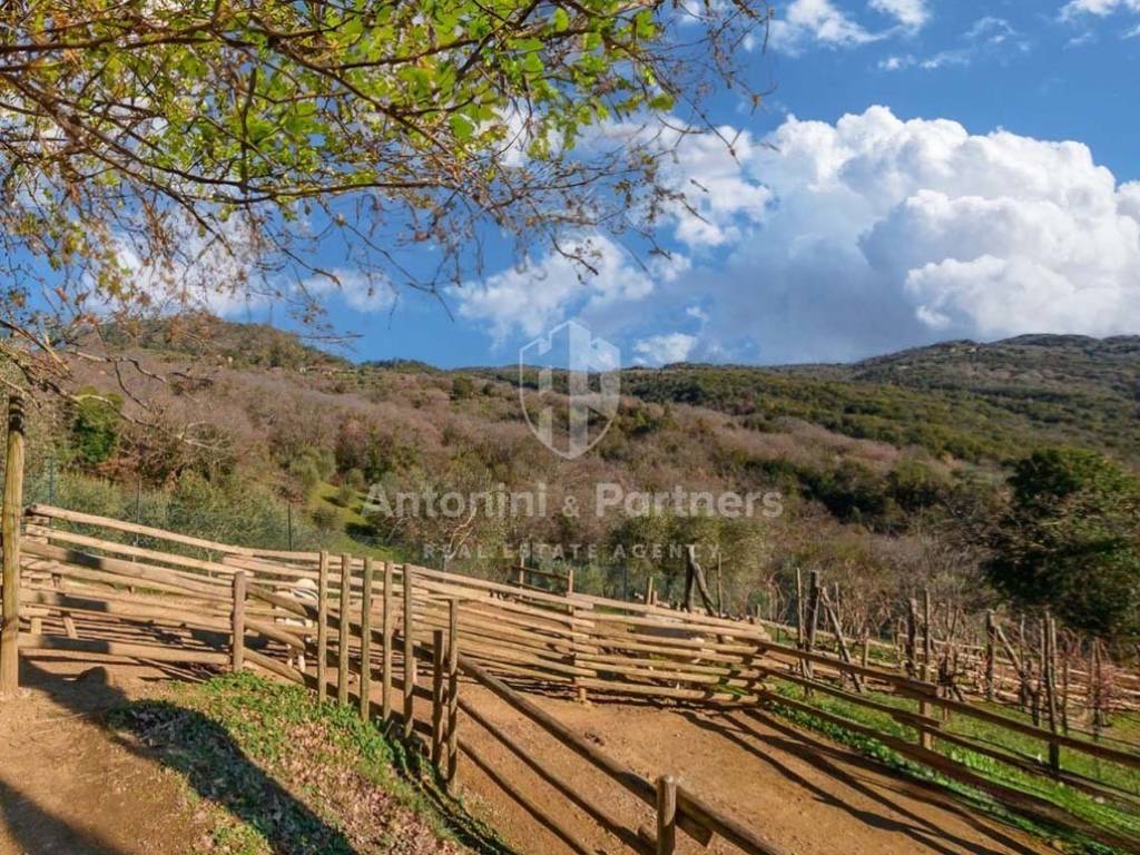 Splendida proprieta rurale - Citta della Pieve - L