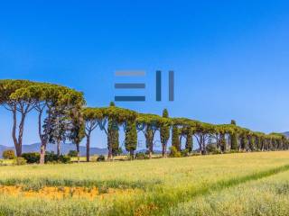 Foto - Vendita villa con giardino, Castiglione della Pescaia, Maremma e Argentario