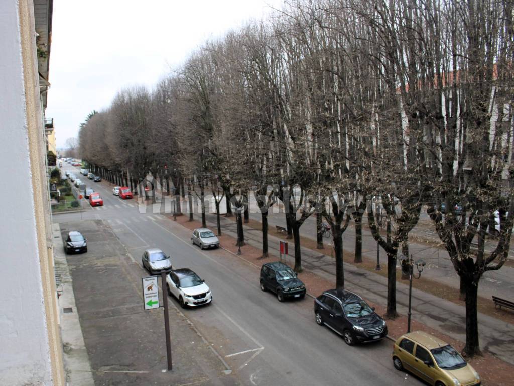 viale dal balcone