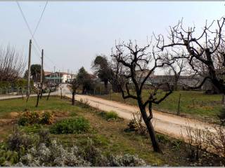 Strada ingresso e orto