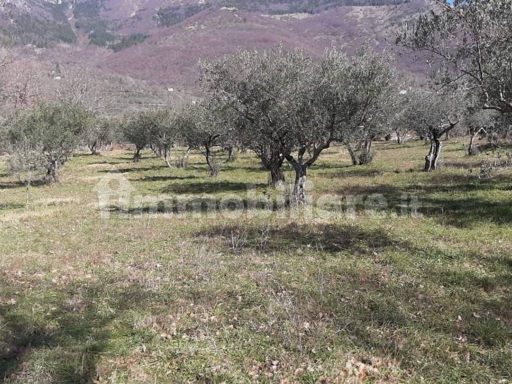 Terreno agricolo via Ponte di Tolle, San Donato Val di Comino, rif