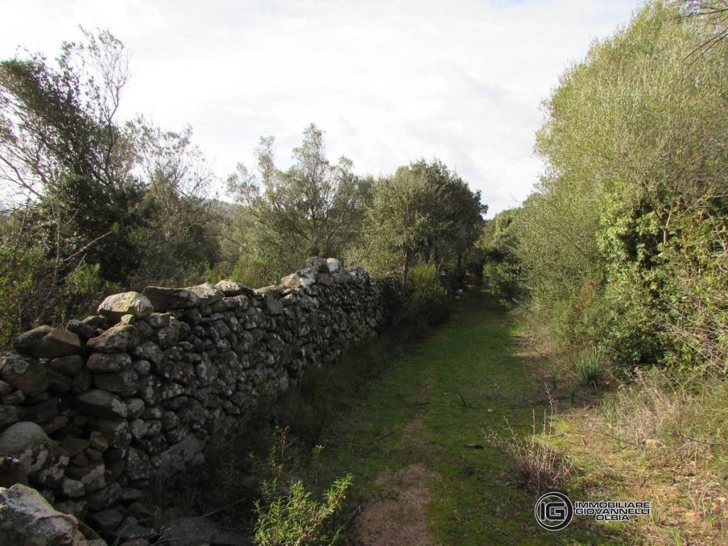 Vendita di 1 ettaro di terreno con tre ruderi - 2