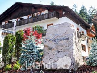 Foto - Vendita casa, giardino, Senale-San Felice, Dolomiti Alto Adige