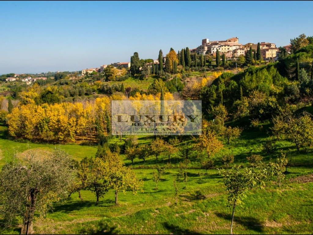 Vista panoramica