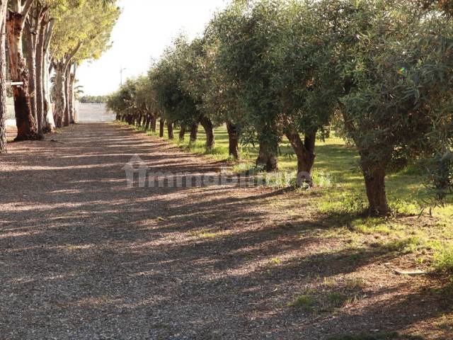 Villa su mare - Amendolara Ionio