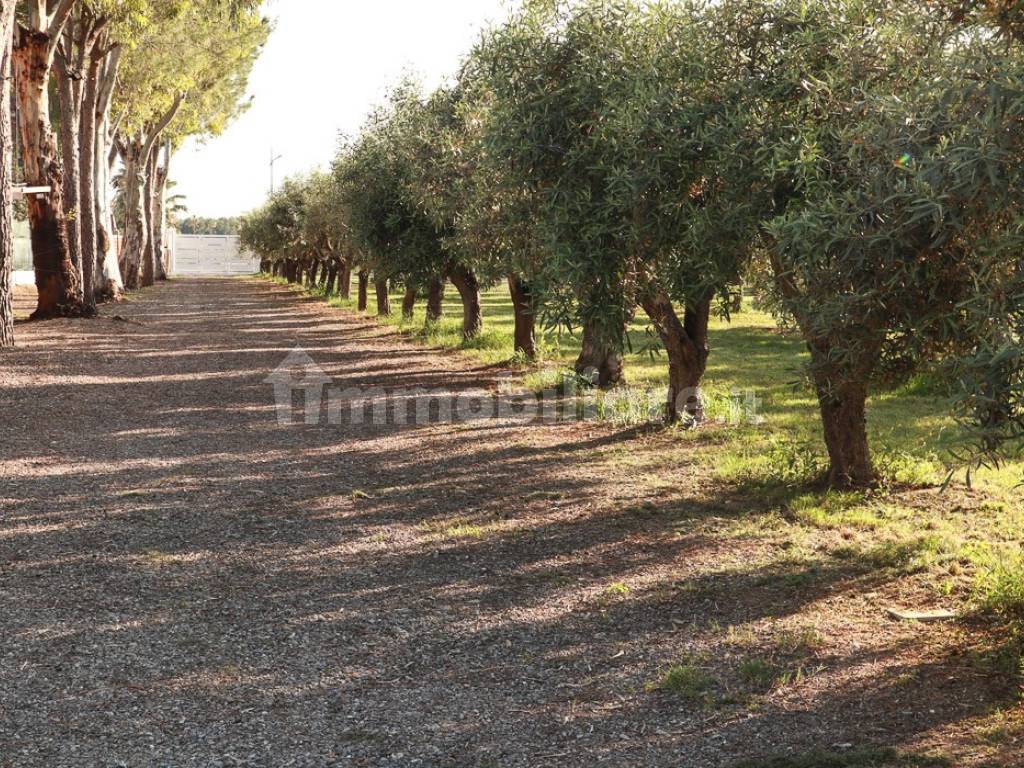 Villa su mare - Amendolara Ionio