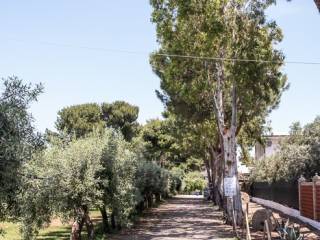 Villa su mare - Amendolara Ionio