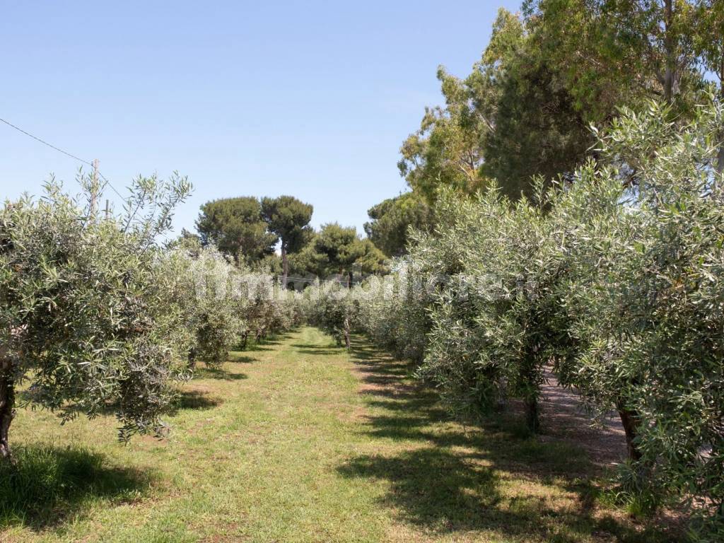 Villa su mare - Amendolara Ionio