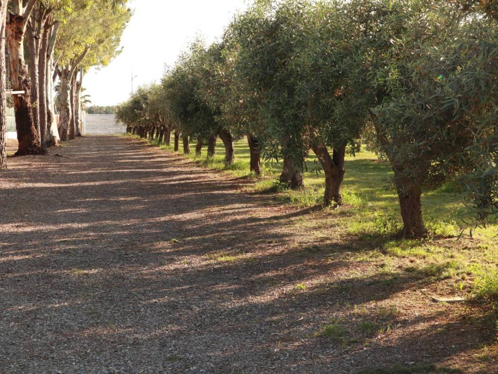 Villa su mare - Amendolara Ionio