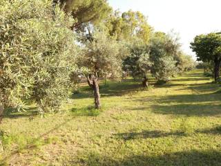 Villa su mare - Amendolara Ionio