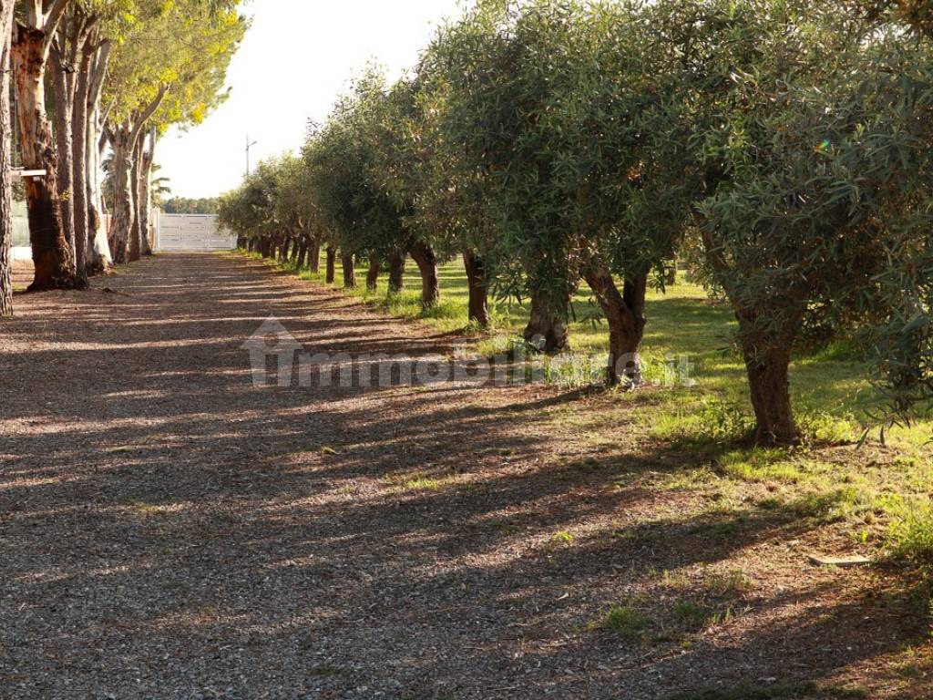 Villa su mare - Amendolara Ionio