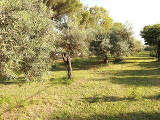 Villa su mare - Amendolara Ionio