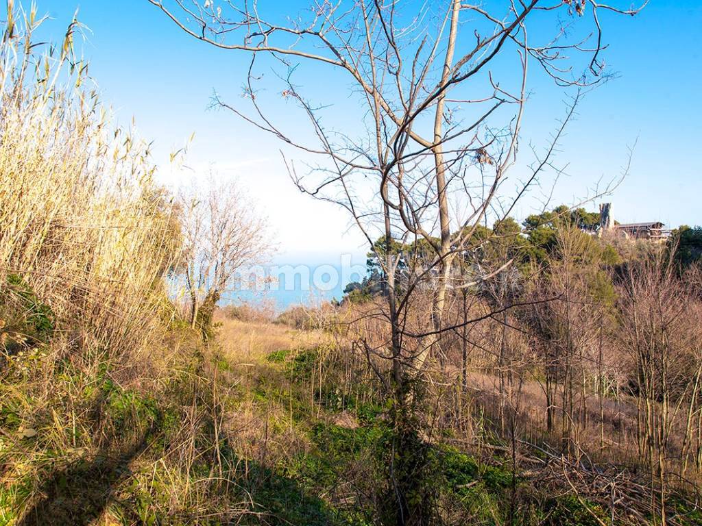 Casale vista mare con terreno edificabile