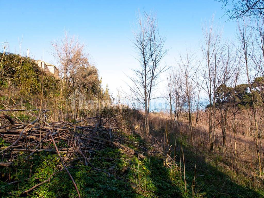 Casale vista mare con terreno edificabile