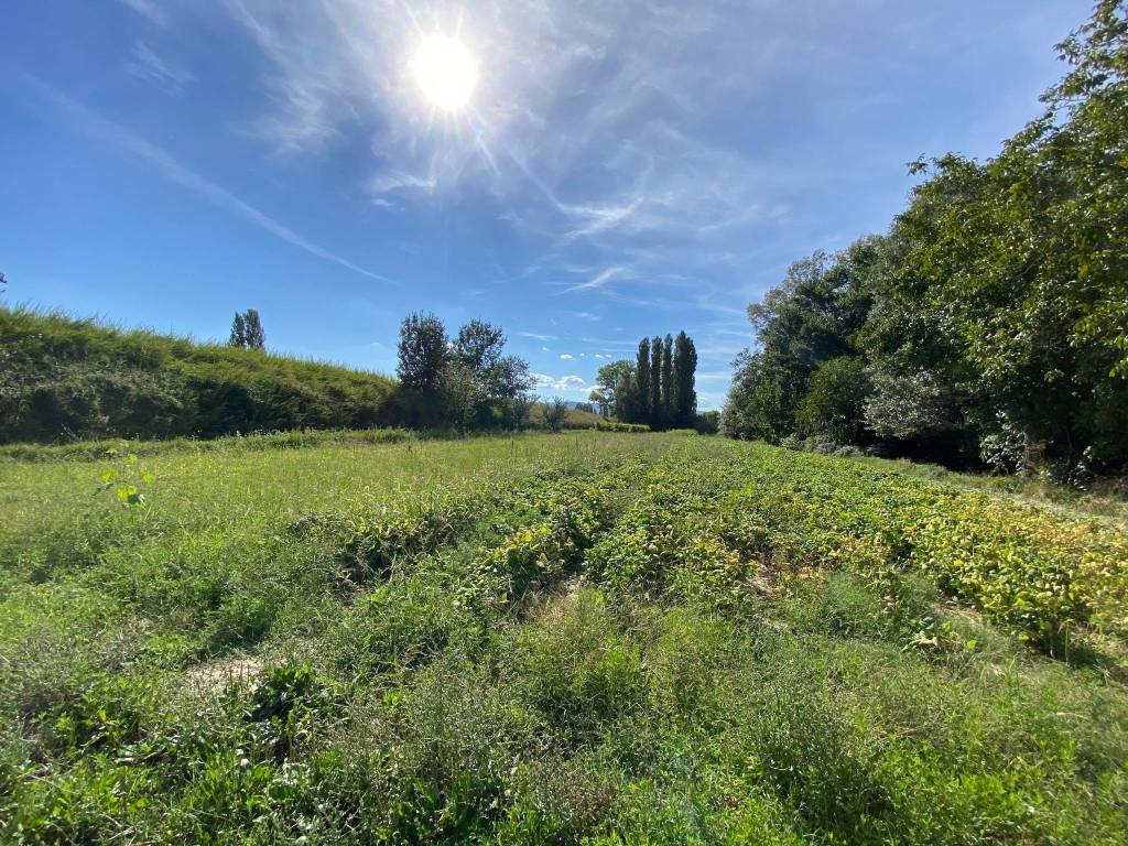 Terreno agricolo via della rotta, sanmagno, sterpete, corvia, foligno