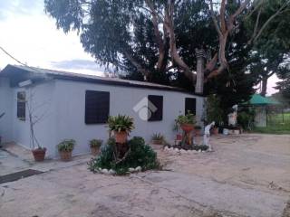 Case in vendita Mola di Bari - Immobiliare.it