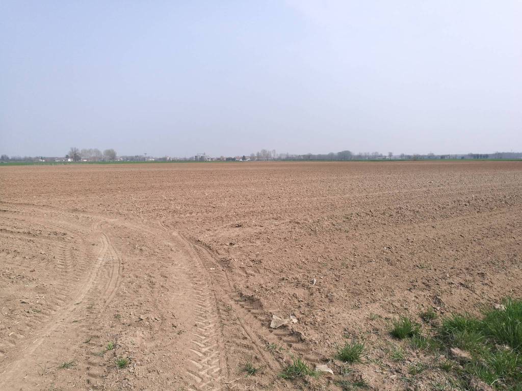 Terreno agricolo case sparse cascina valloni, gussola