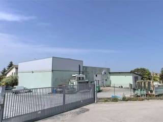 imm_491308-20240214170002-1151-.jpg